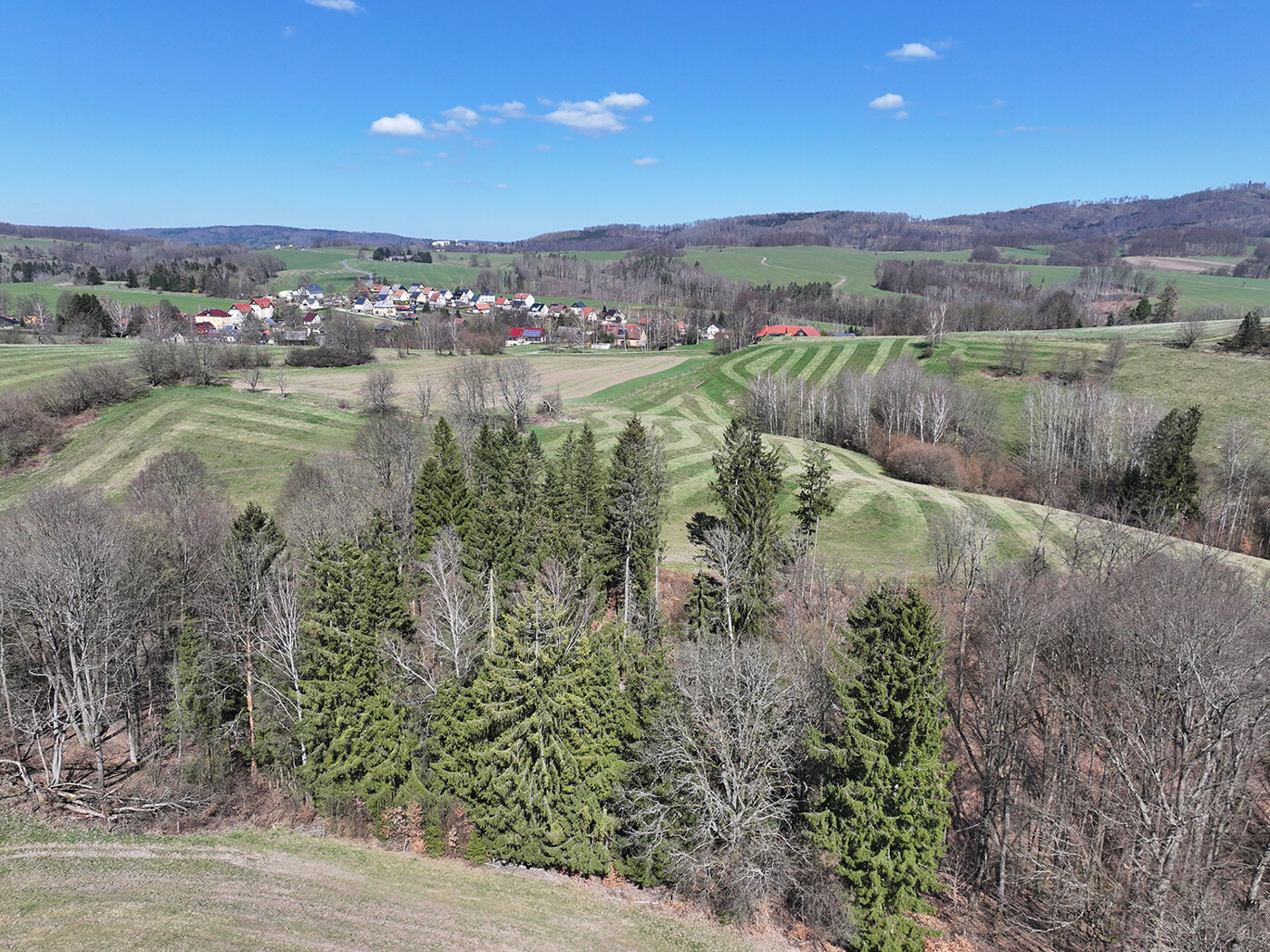 Waldfläche auf Grünland