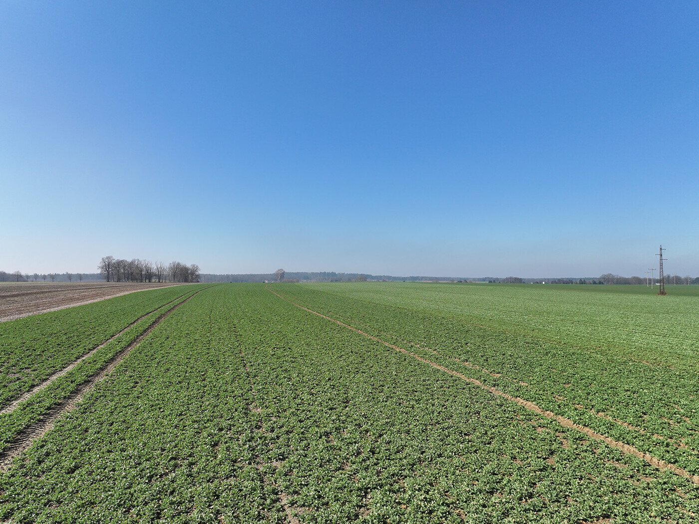 Blick über den Acker