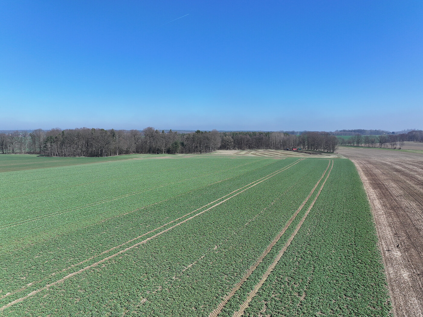 Blick über den Acker