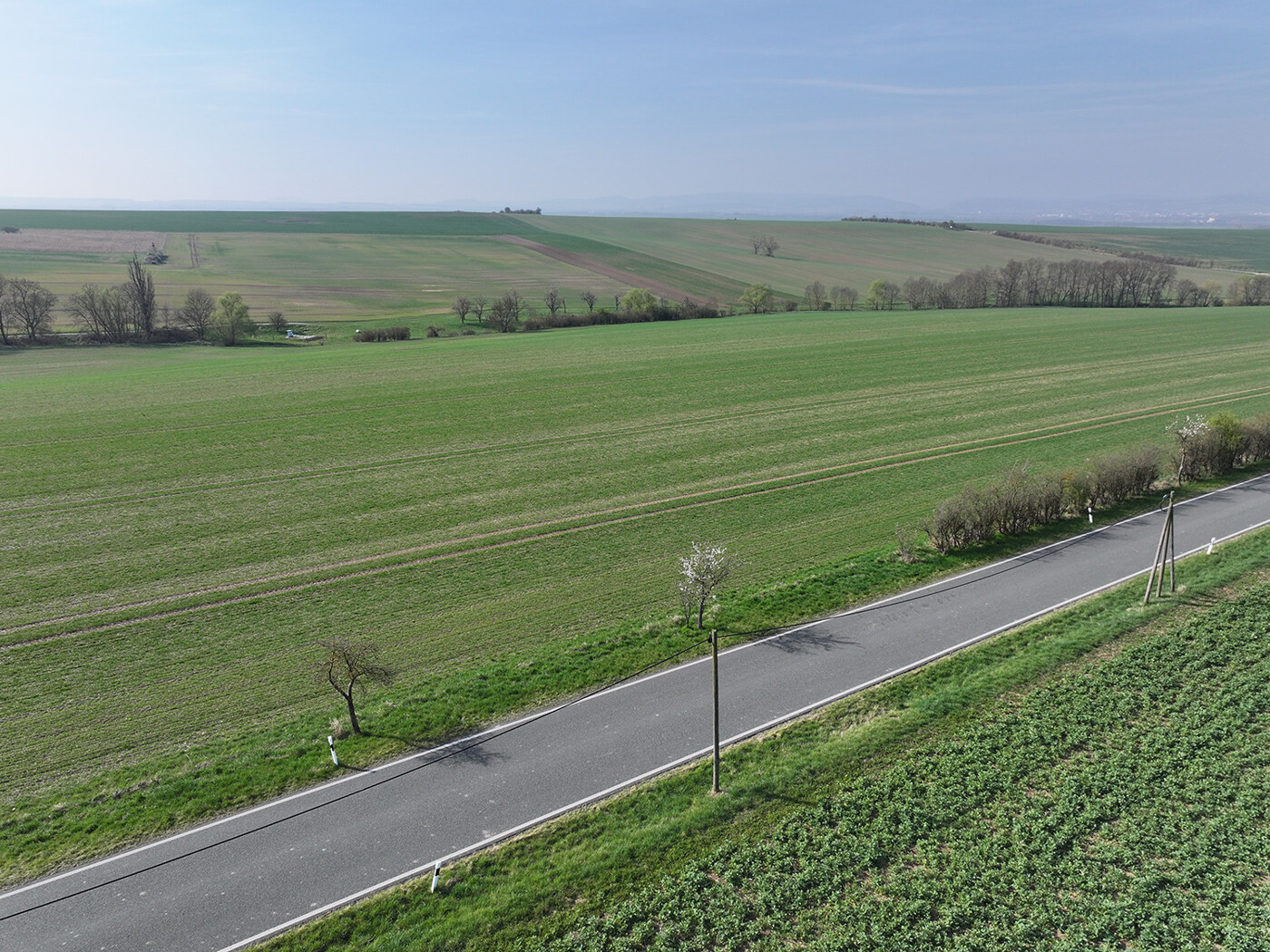 Blick Richtung Süden - Flurst. 179