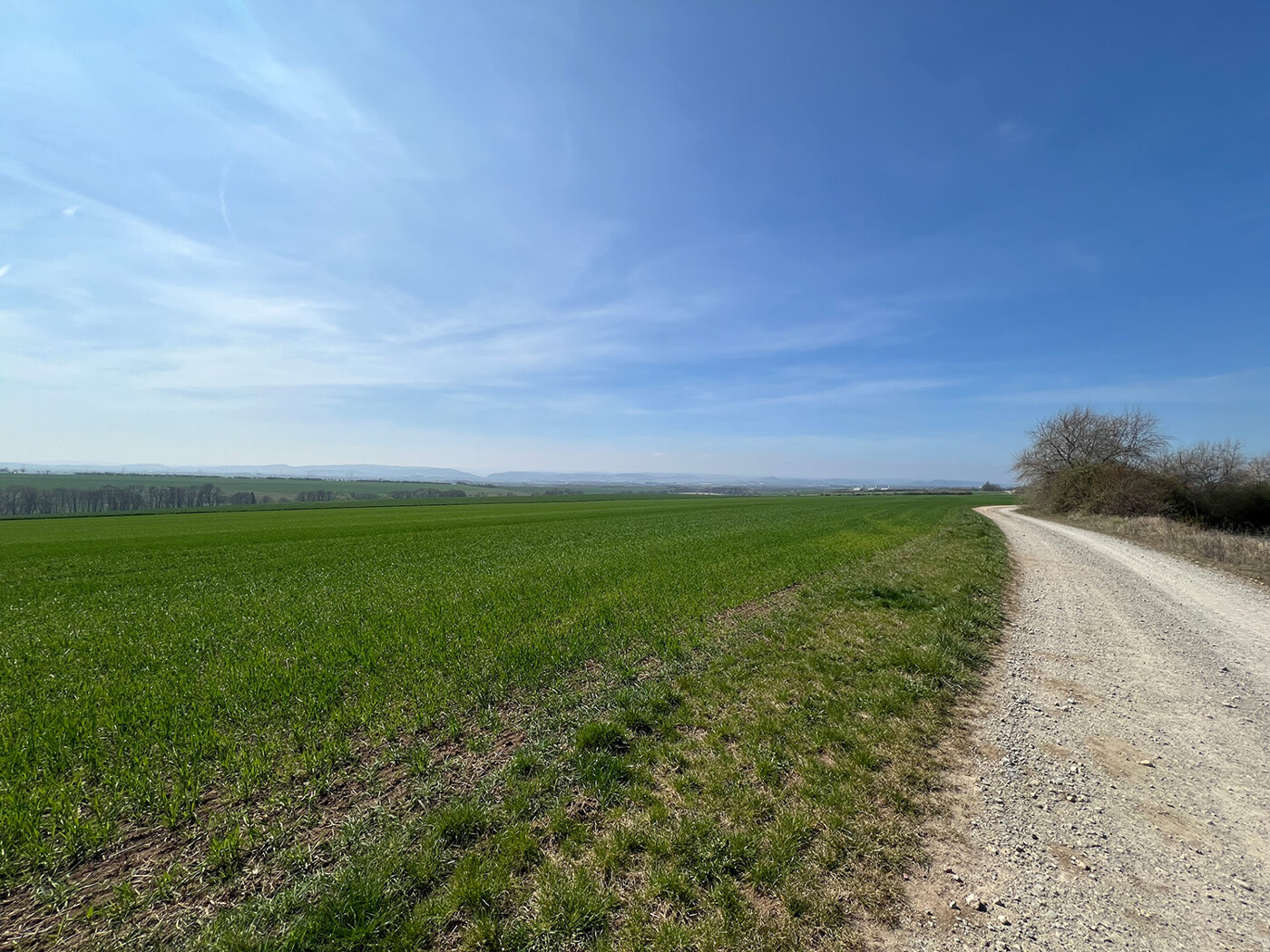 Wirtschaftsweg am Flurstück