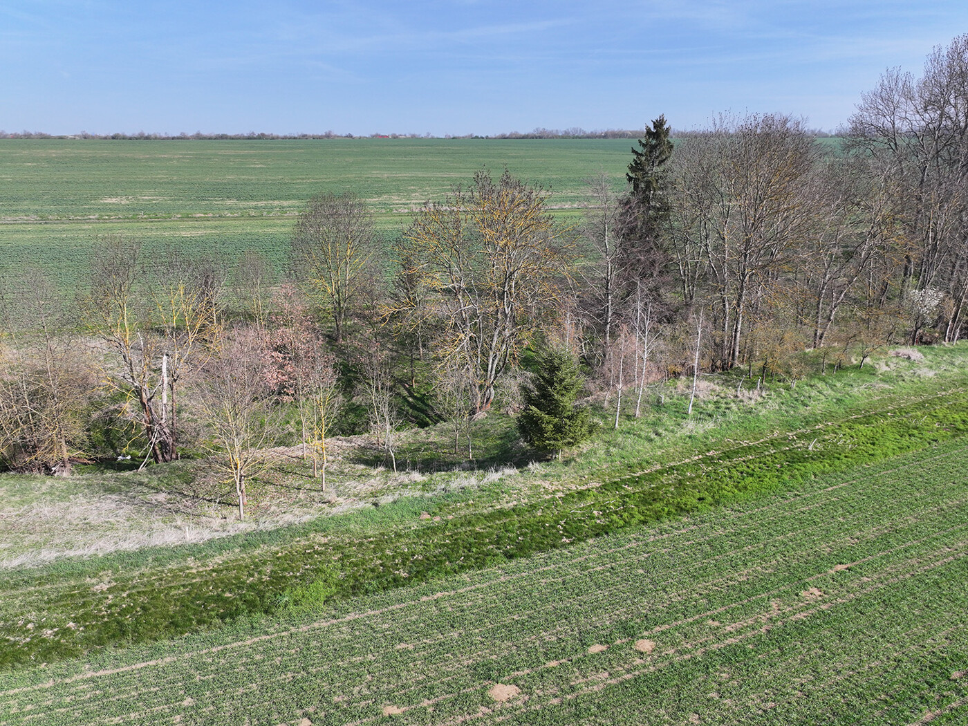 Blick auf den Holzungsanteil