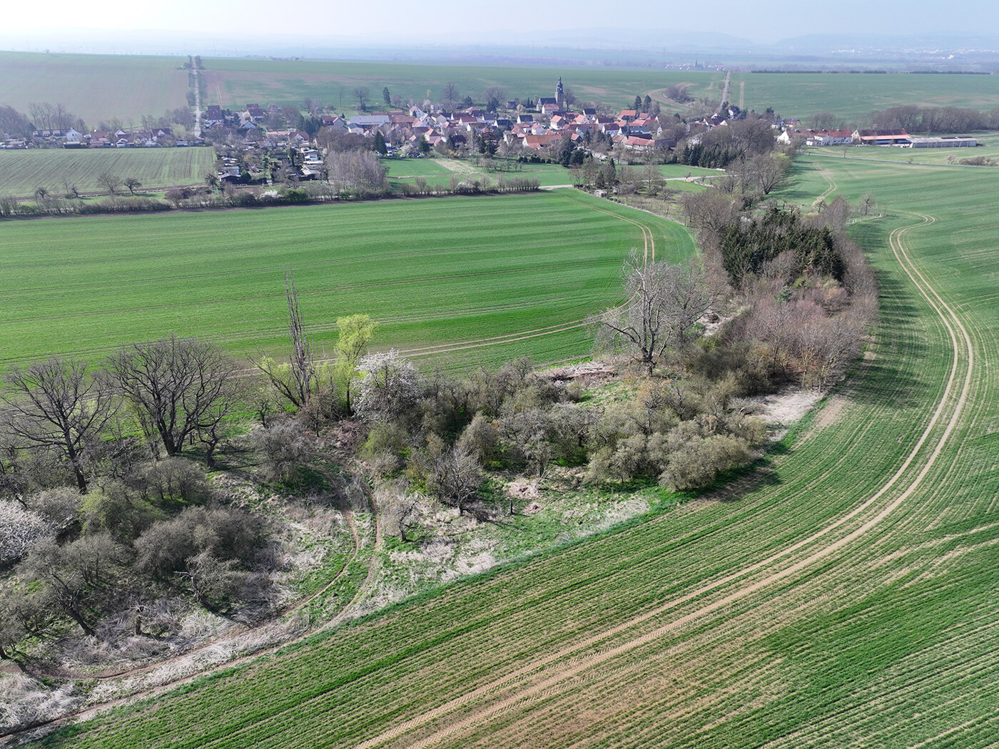 Blick Richtung Süden - Rockhausen
