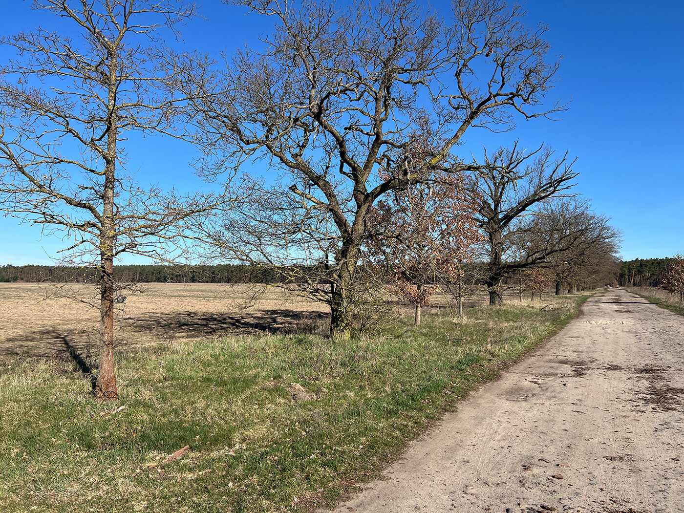 Blick vom Wirtschaftsweg