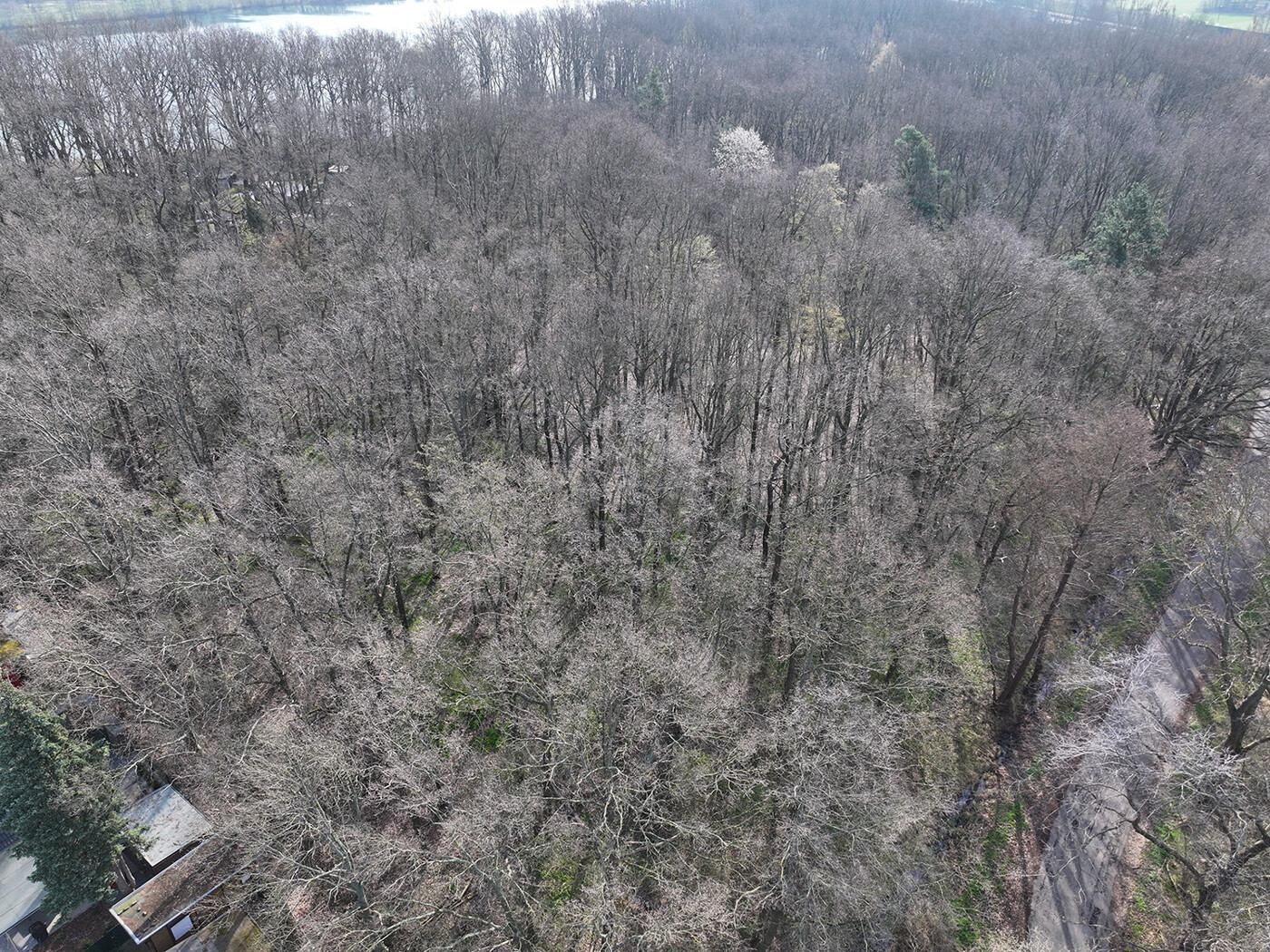 Blick von Oben (1)