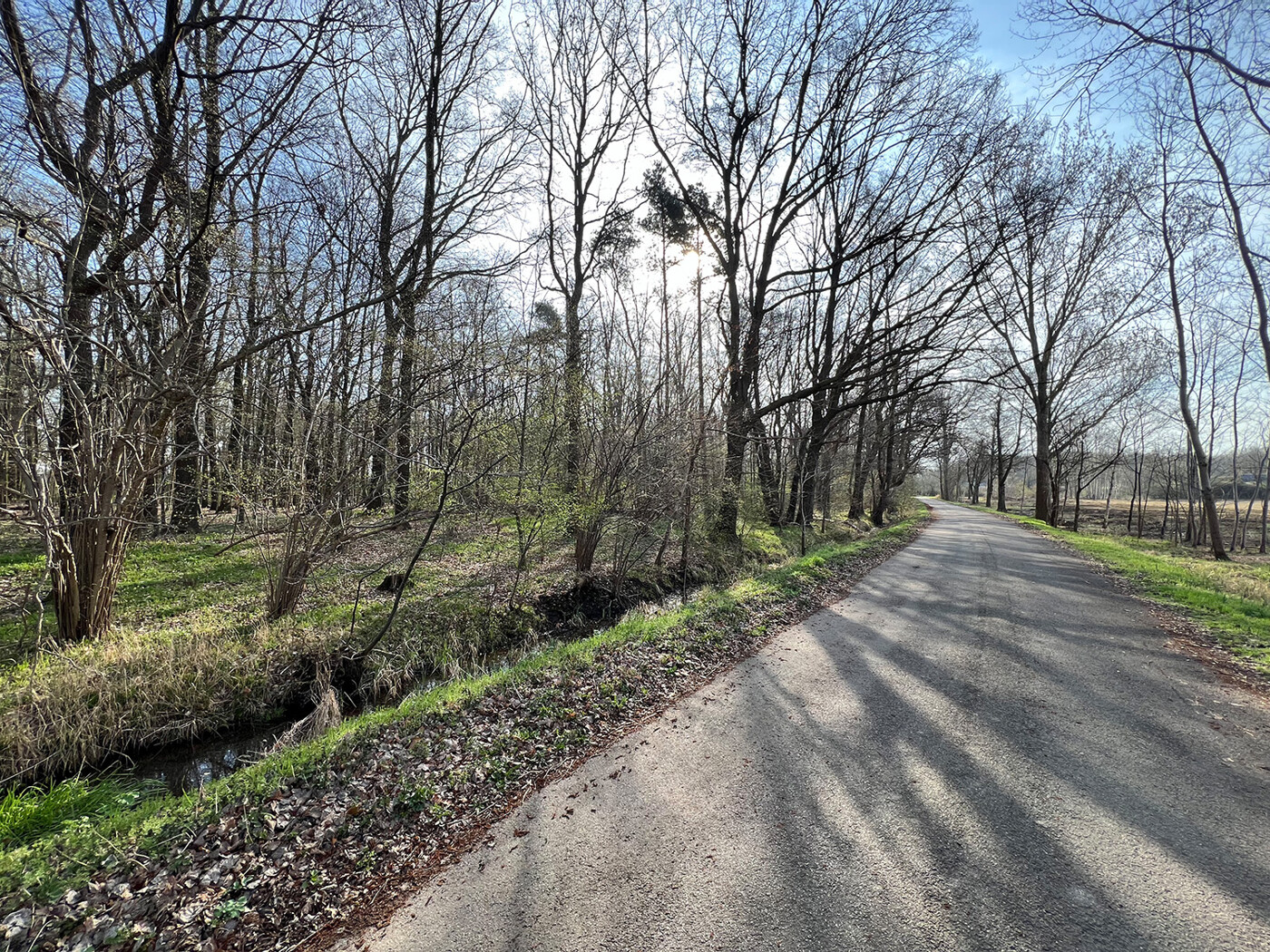 Blick von der Straße im Westen