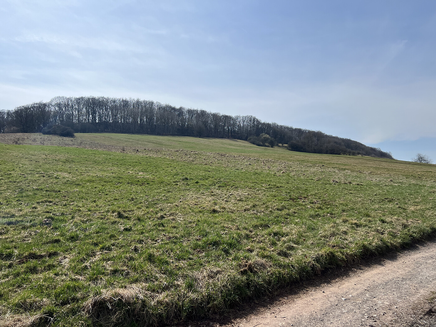 Blick von Wirtschaftsweg