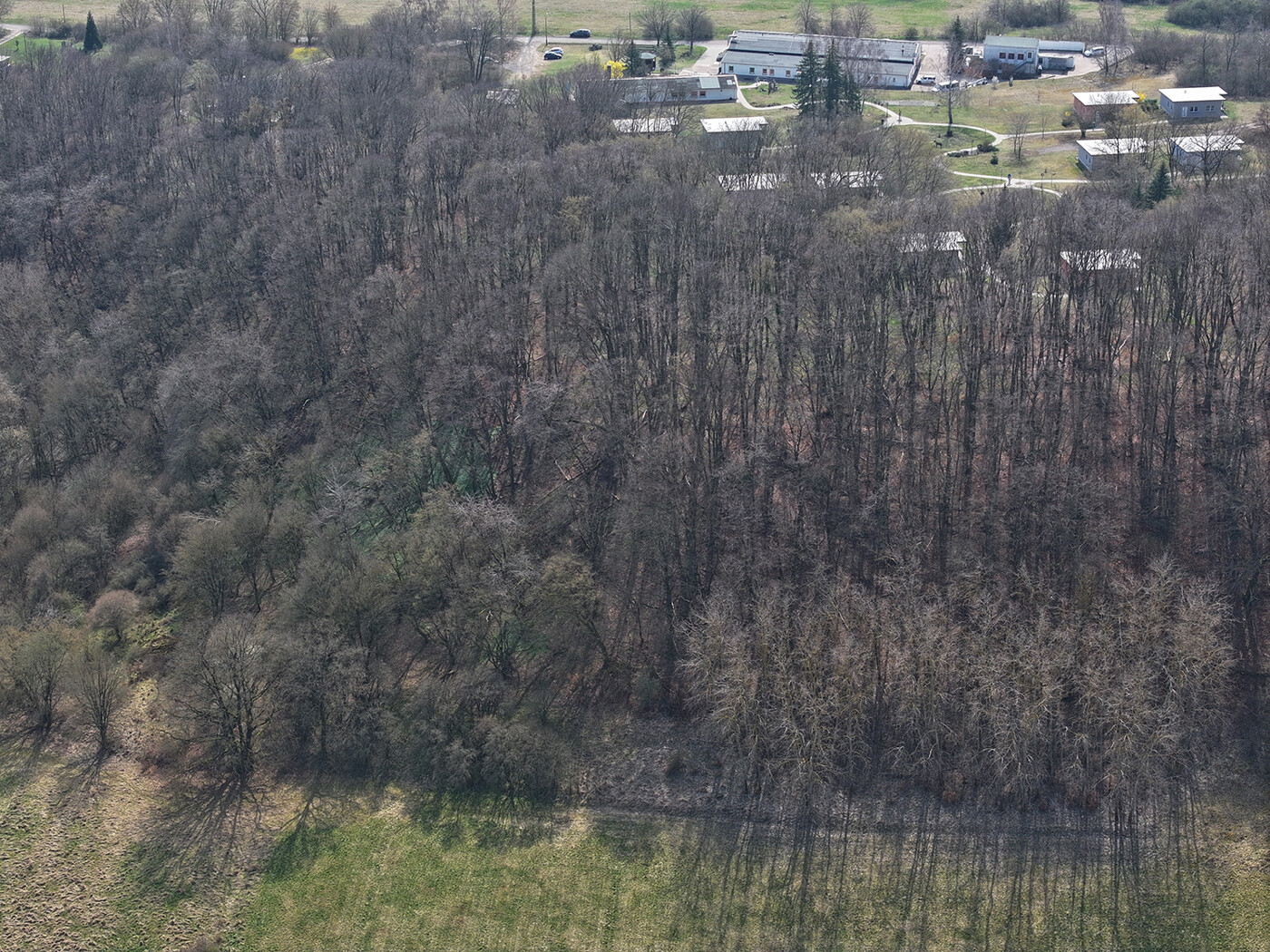 Blick auf die Baumkronen