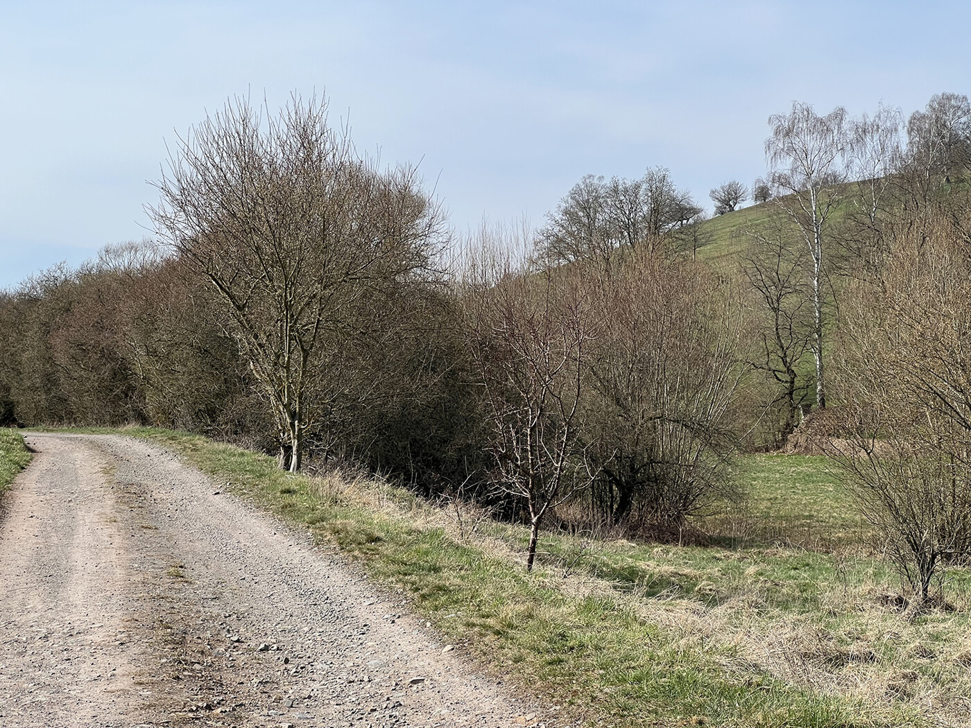 Fläche am Wirtschaftsweg