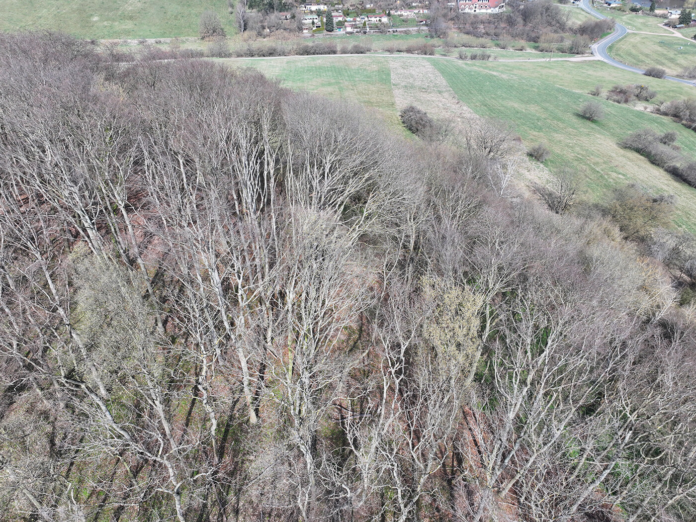 Blick nach Norden