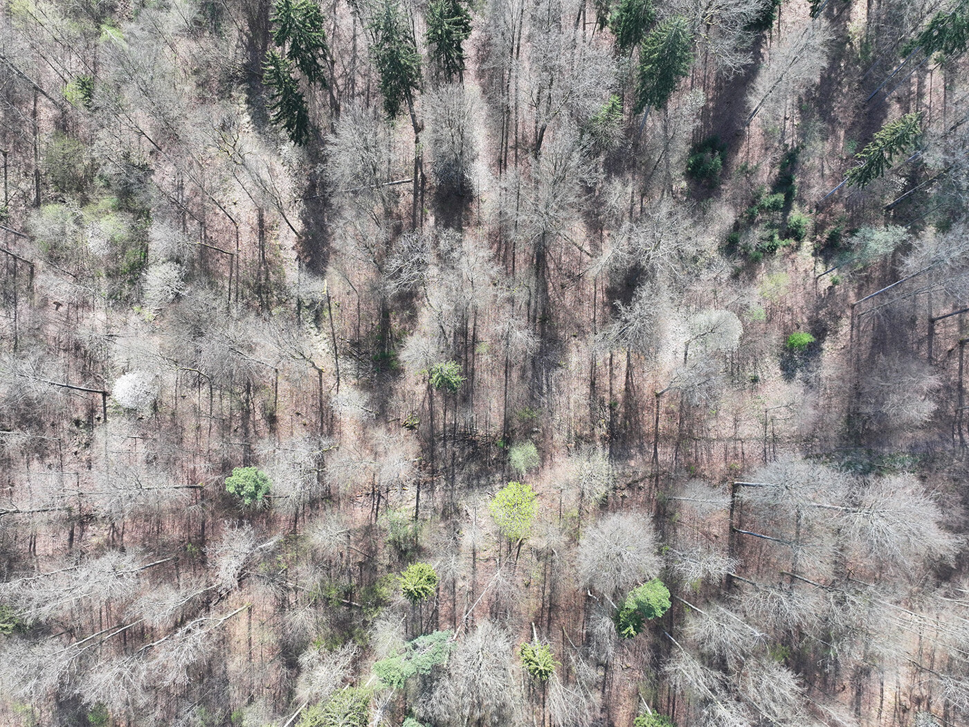Blick von oben