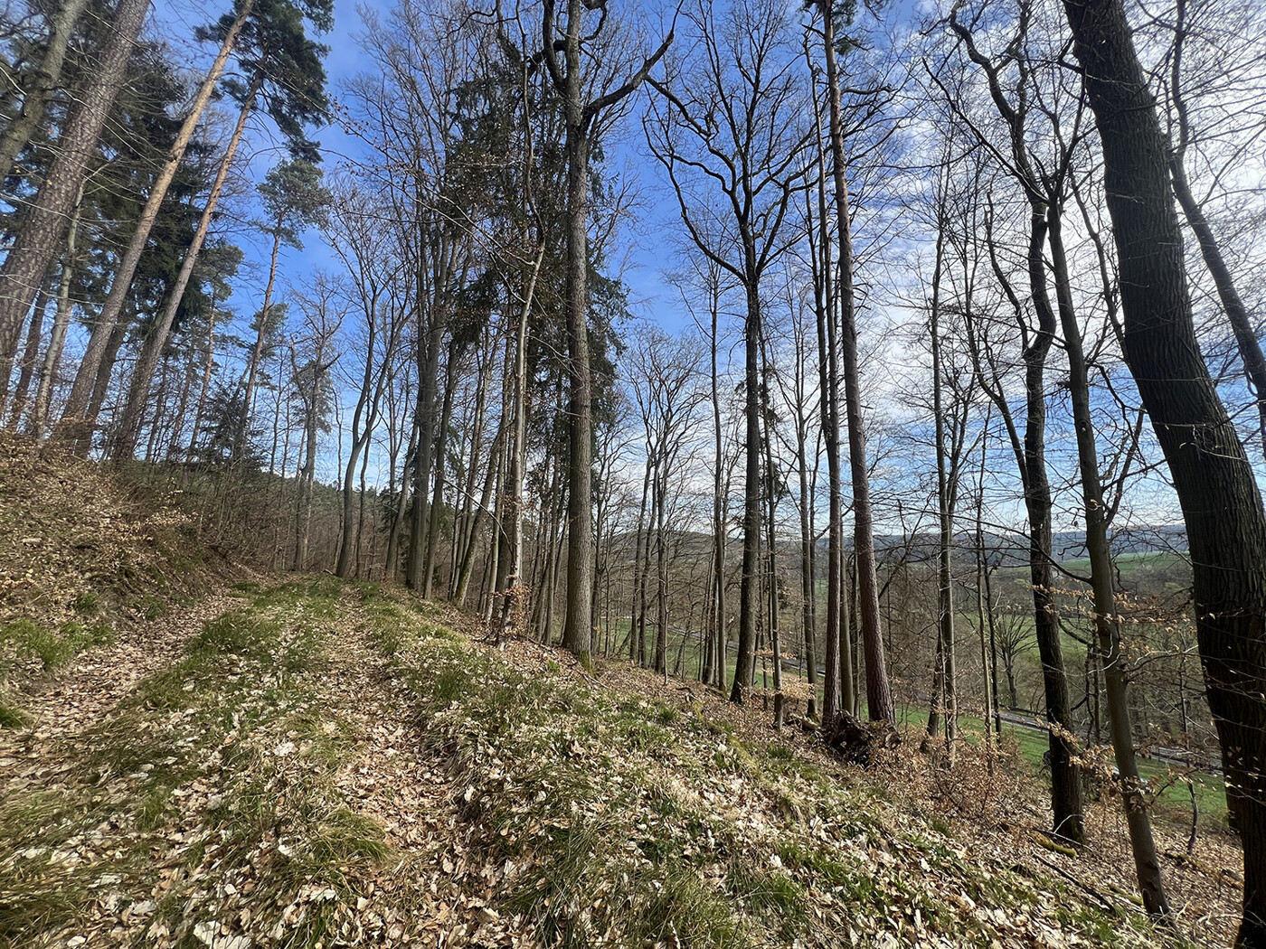 Blick von nördl. Wirtschaftsweg