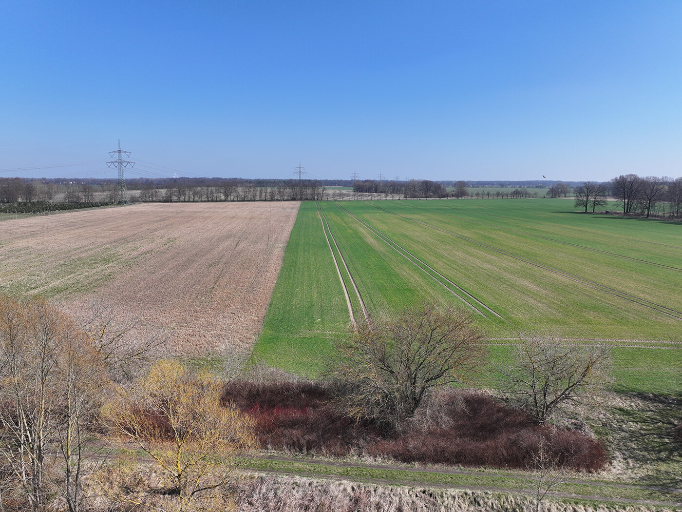 Blick über den östl. Acker + Wirtschaftsweg