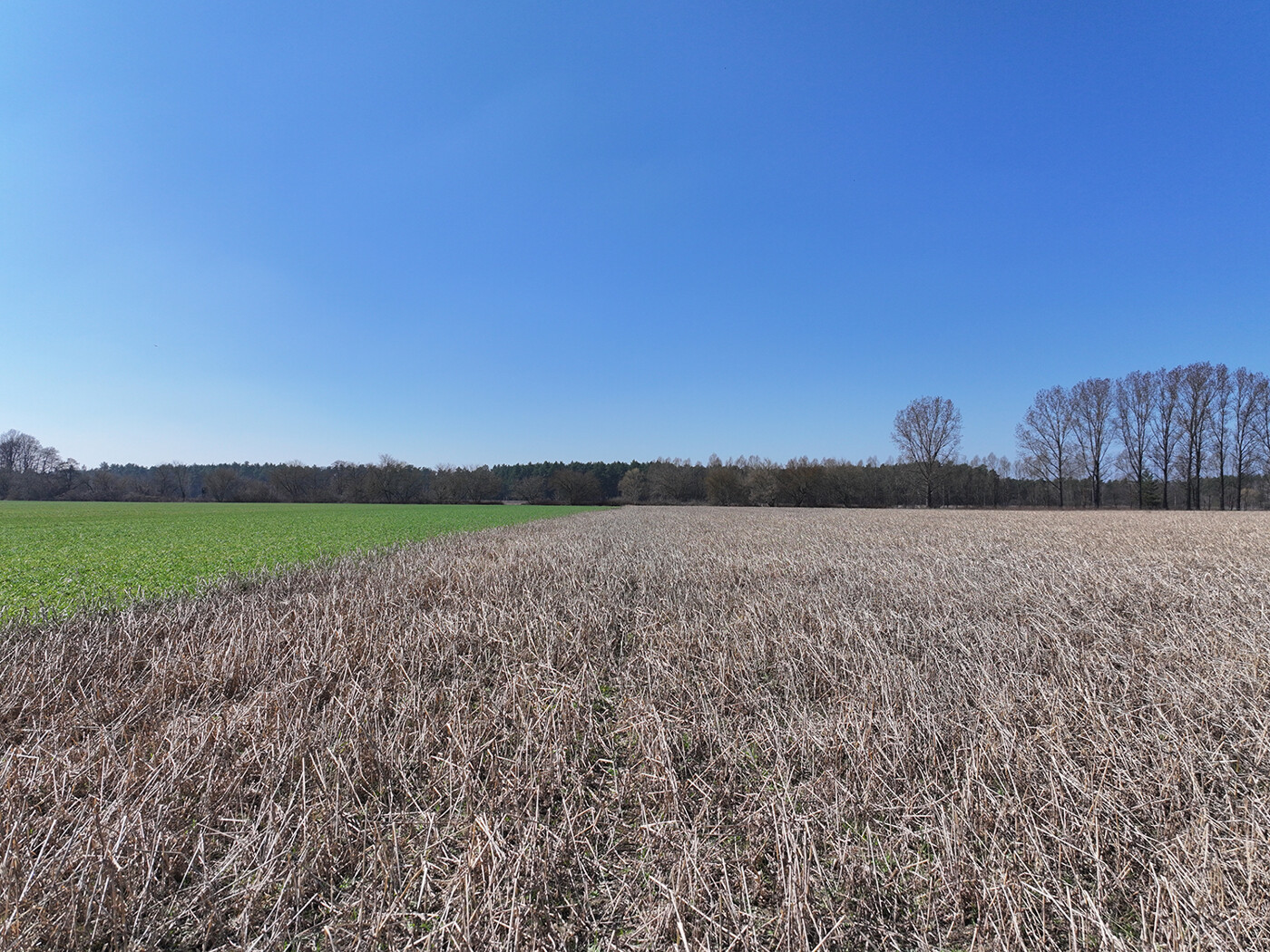 Blick nach Westen