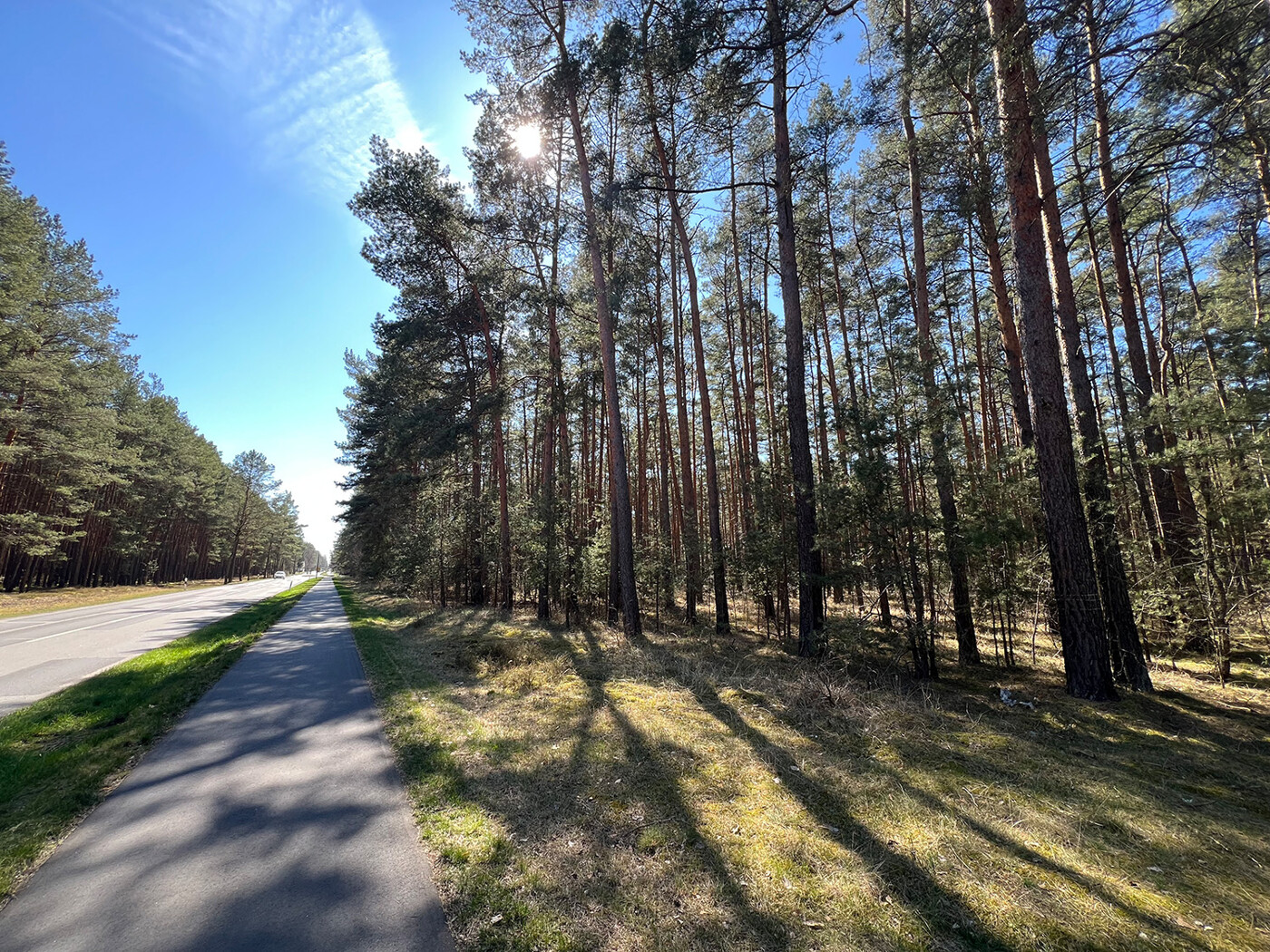 An der Straße am Rande des Flurstücks