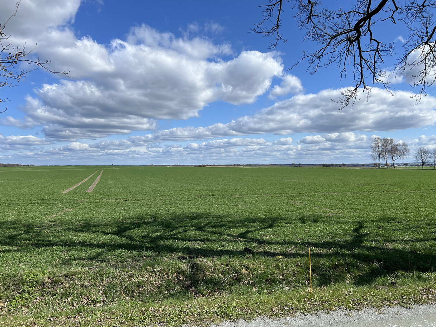 Blick von Flurstücksgrenze