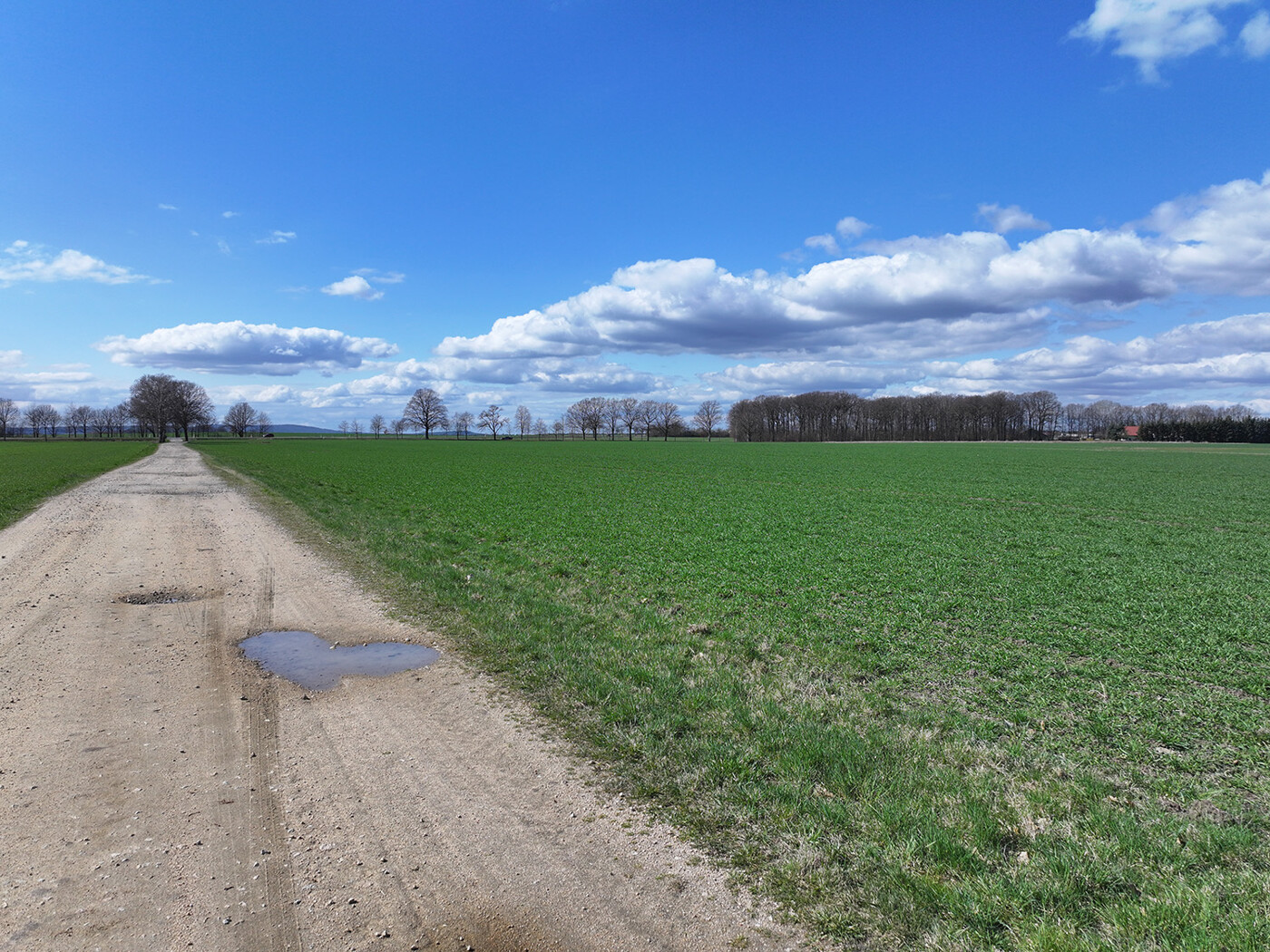 Wirtschaftsweg an südl. Flurstücksgrenze
