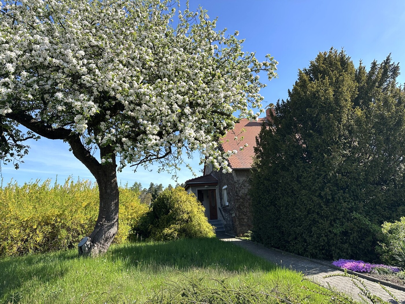 Vorderansicht