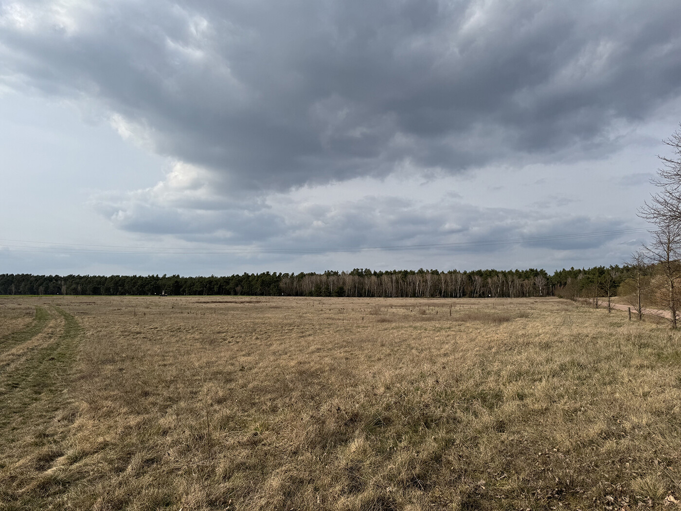 Blick aufs Grünland