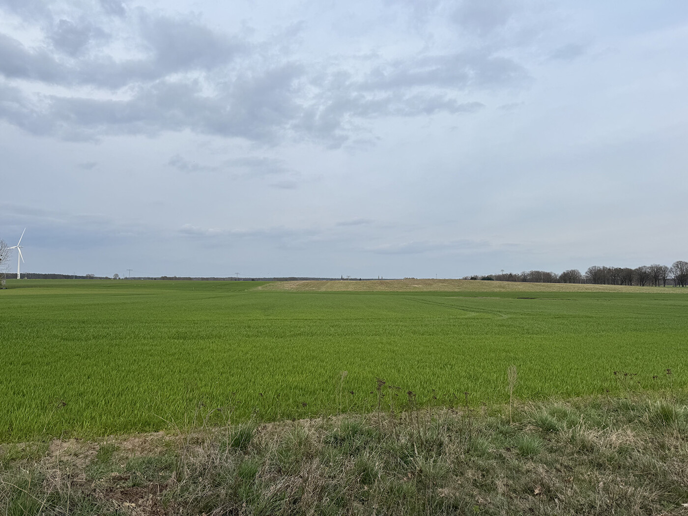 Blick vom Wirtschaftsweg