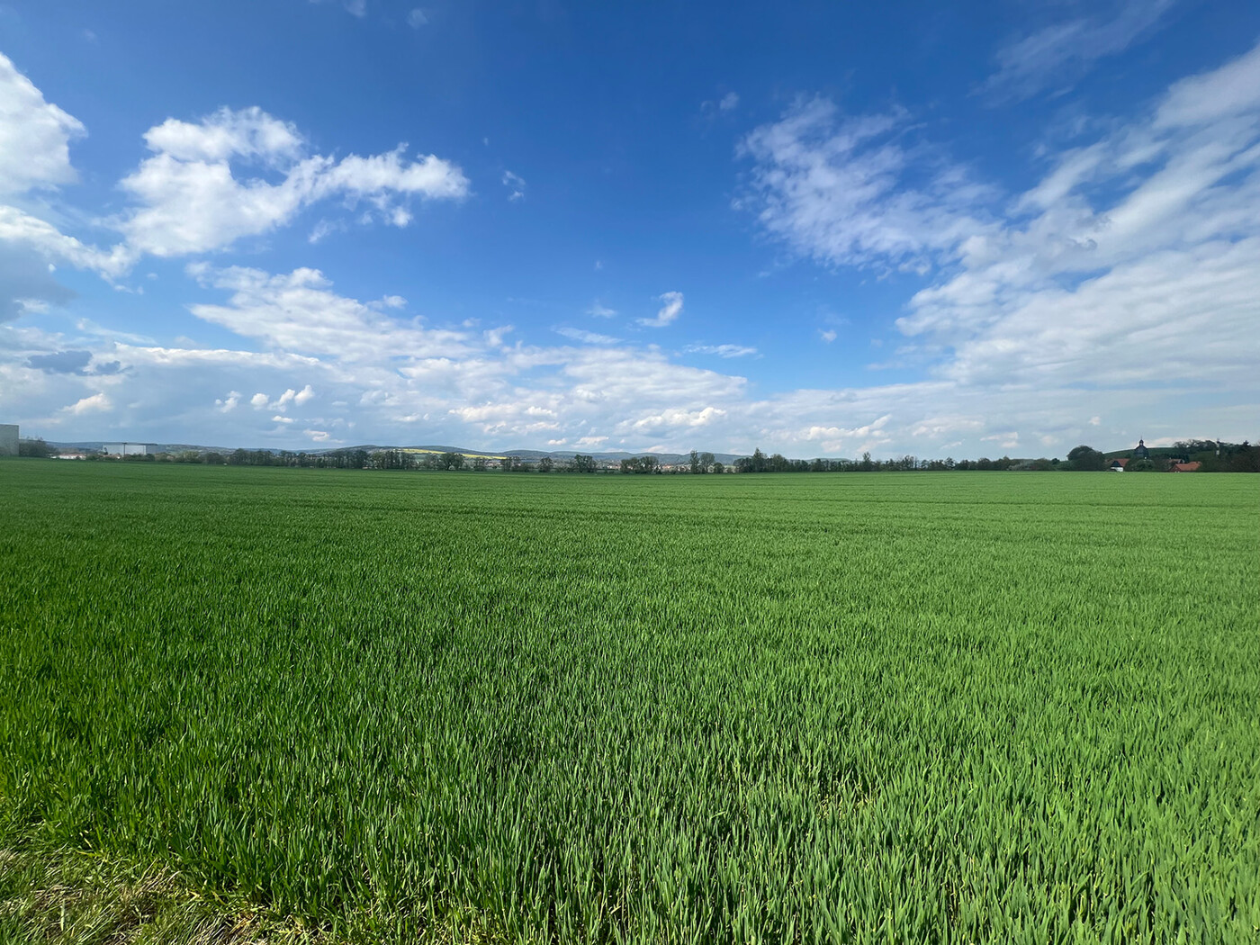 Blick über die Landwirtschaftsfläche