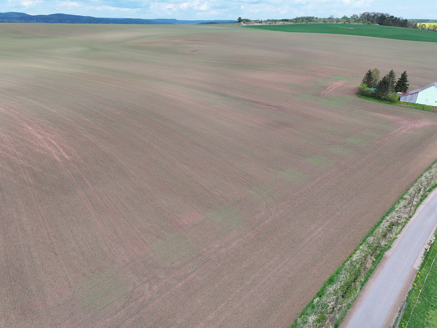 Blick auf den Acker im Süden