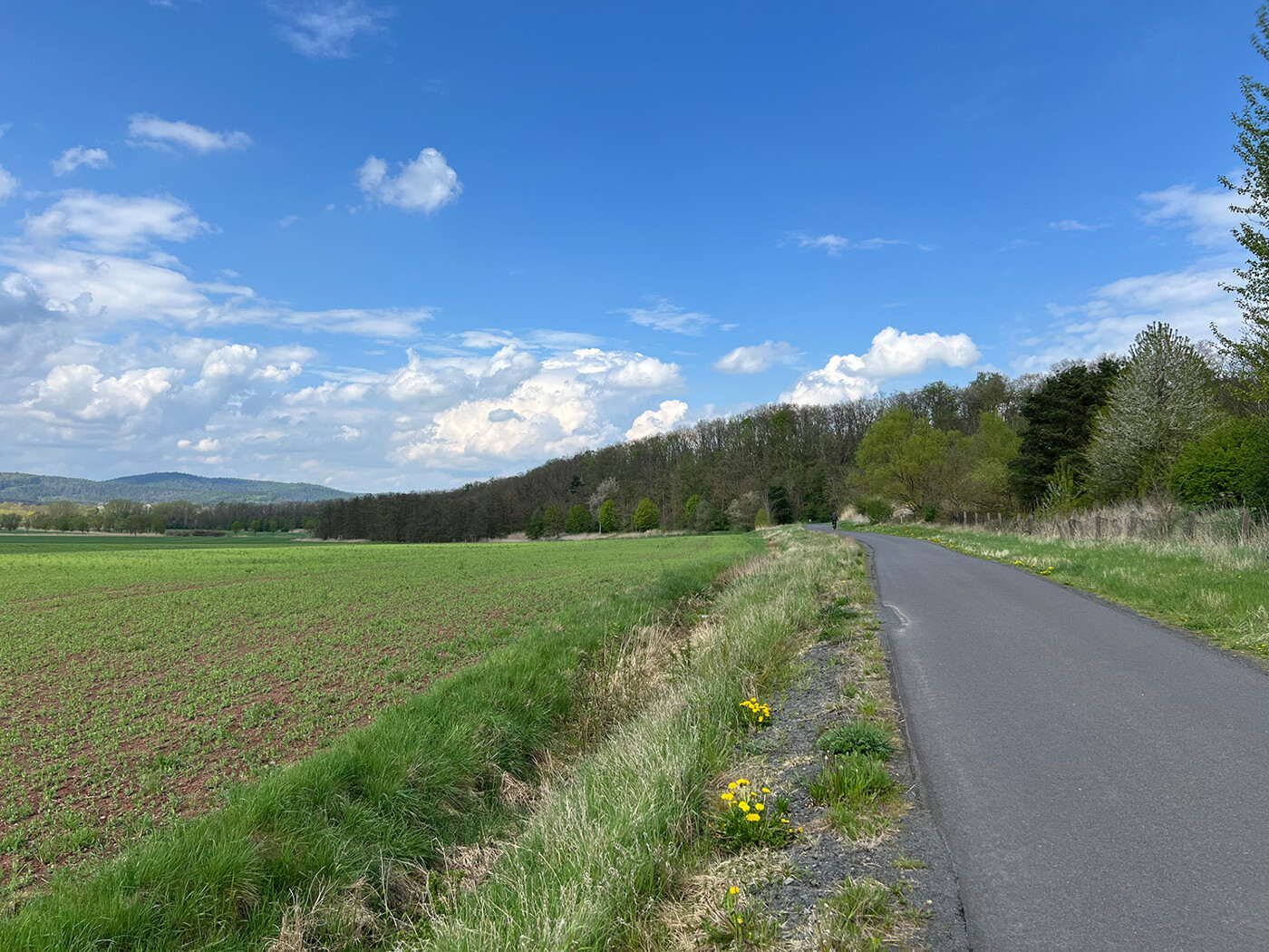 Blick über den Acker