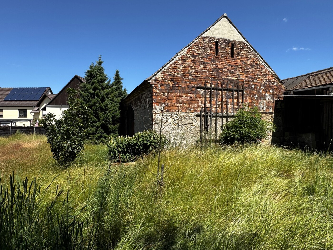 Wildkräuterwiese mit Scheune