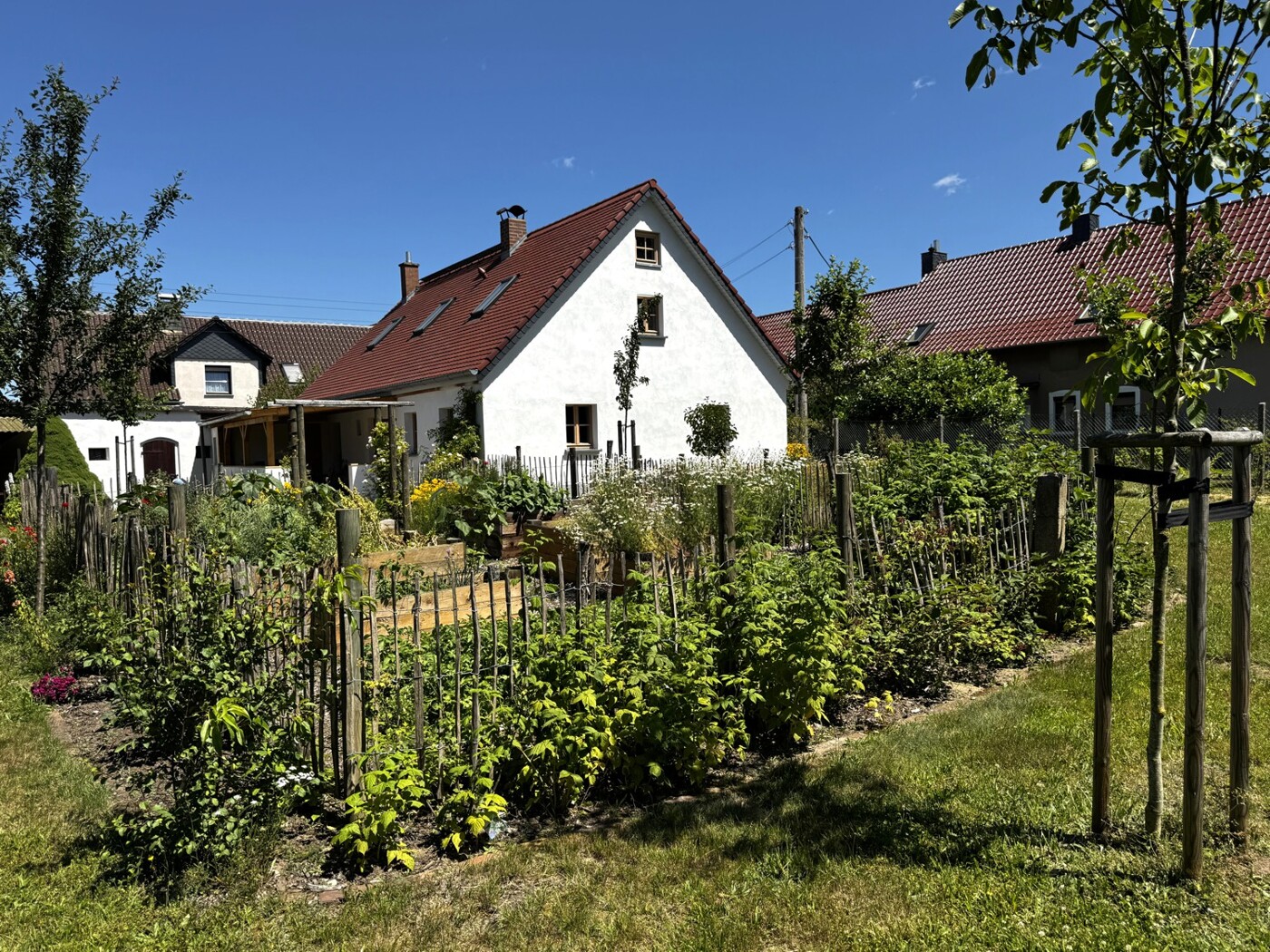Blick vom Garten