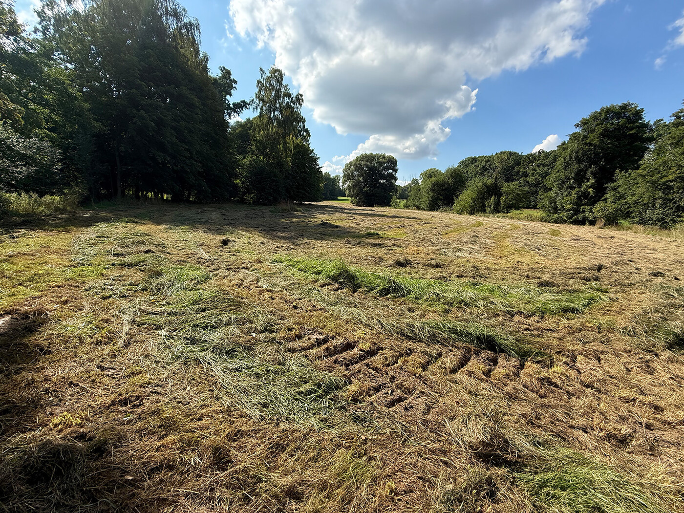 Blick über das Grünland