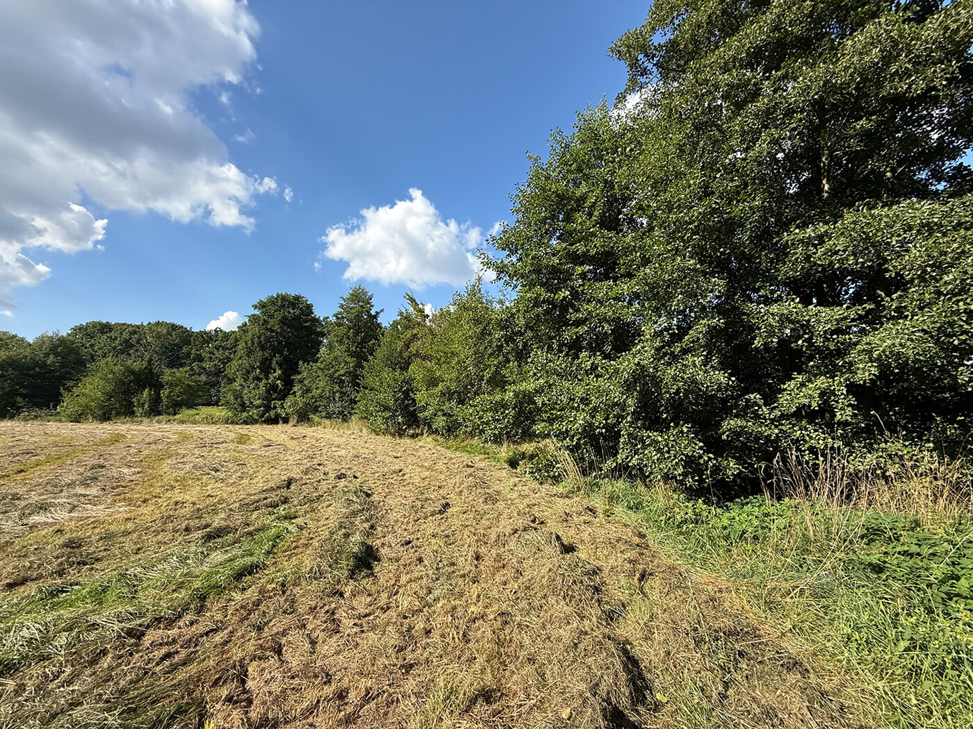 Blick Richtung Norden