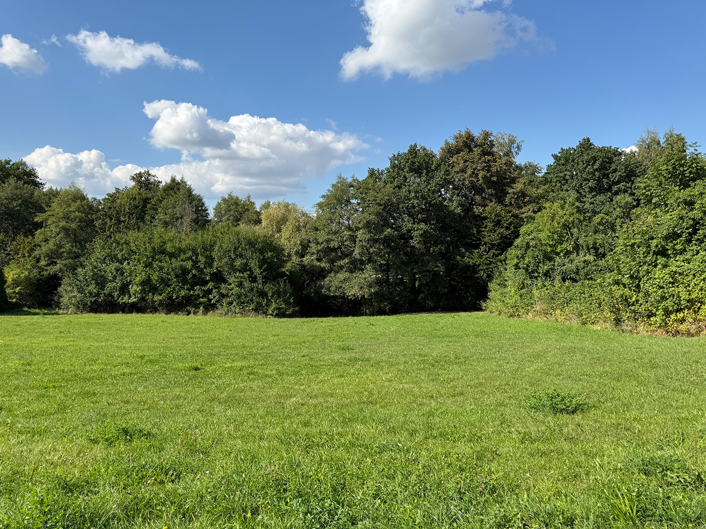 Blick über Fl.St. 102/b - Richtung Norden