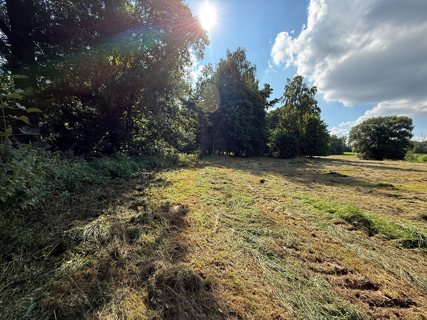 Blick Richtung Osten + Flurgrenze