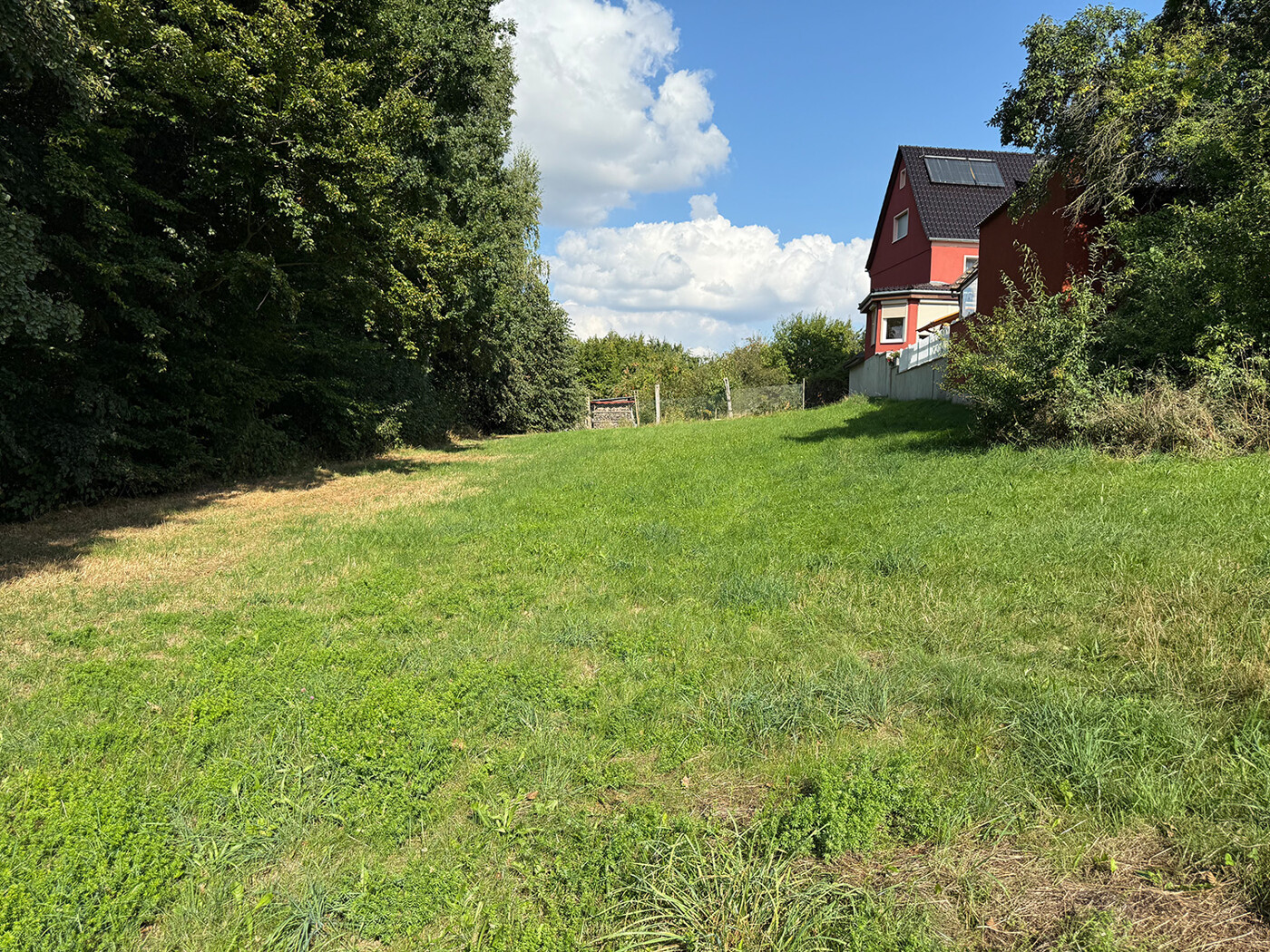 Blick über die Wiese