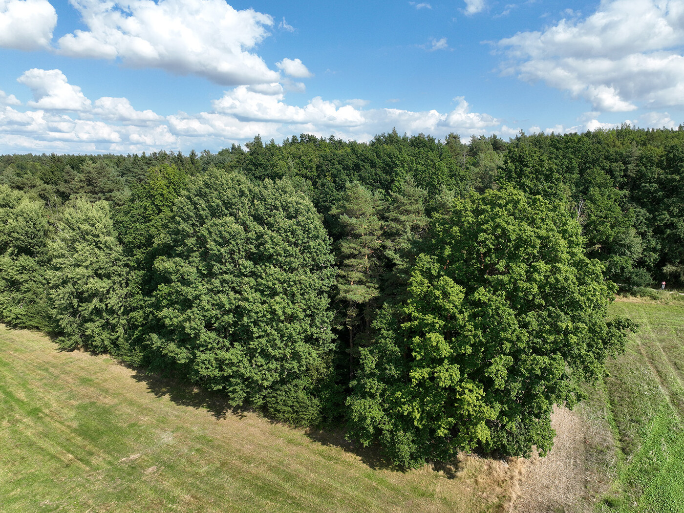 Blick Richtung Osten