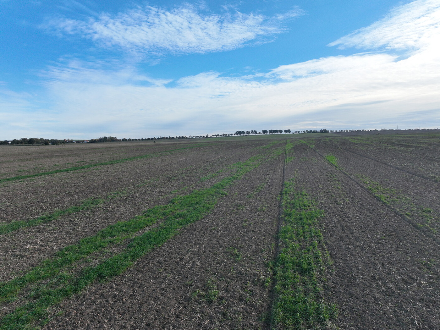 Blick über den Acker