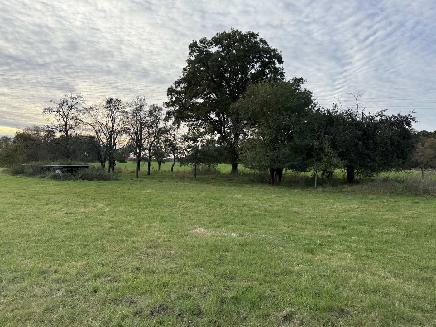 Wiese mit kleinem Unterstand