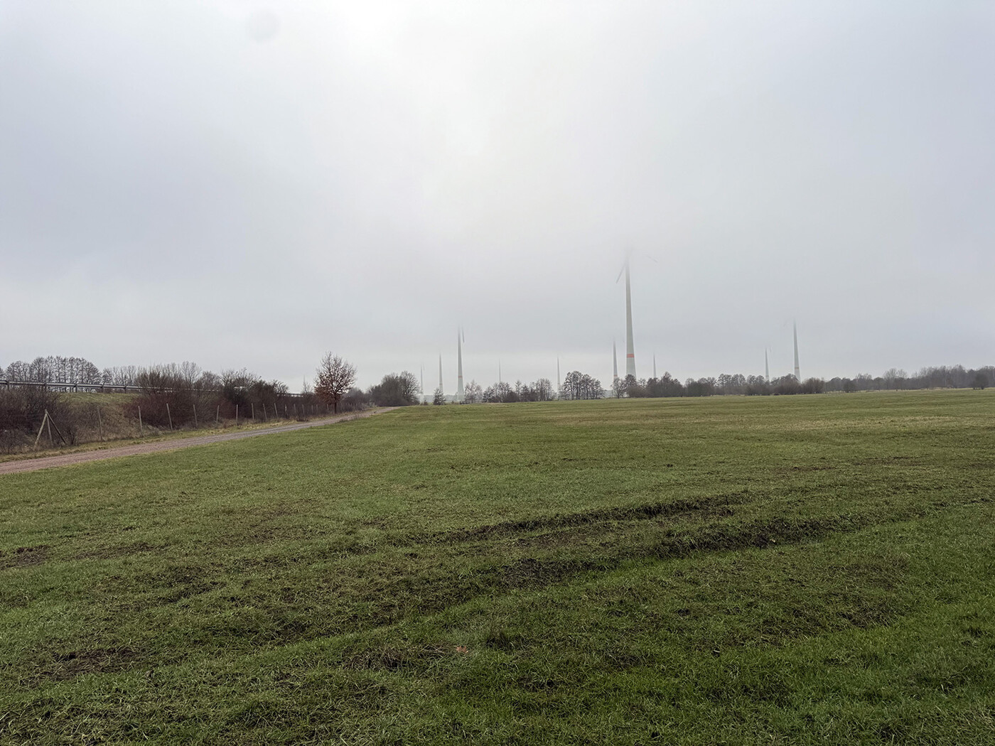 Blick über die Fläche