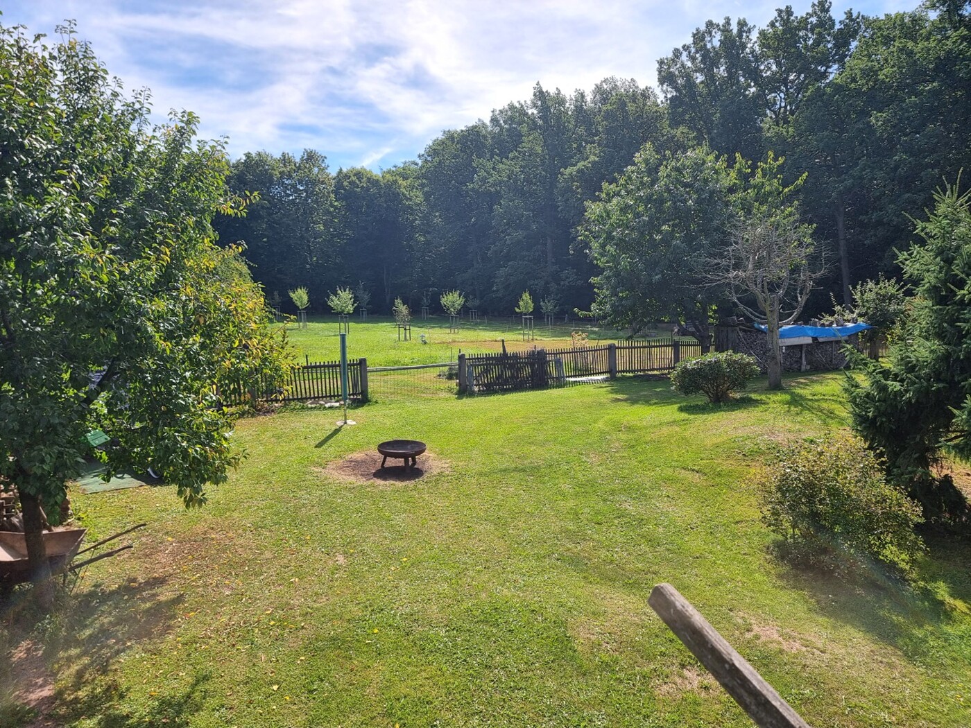 Grunstücksübergang zur Obstwiese