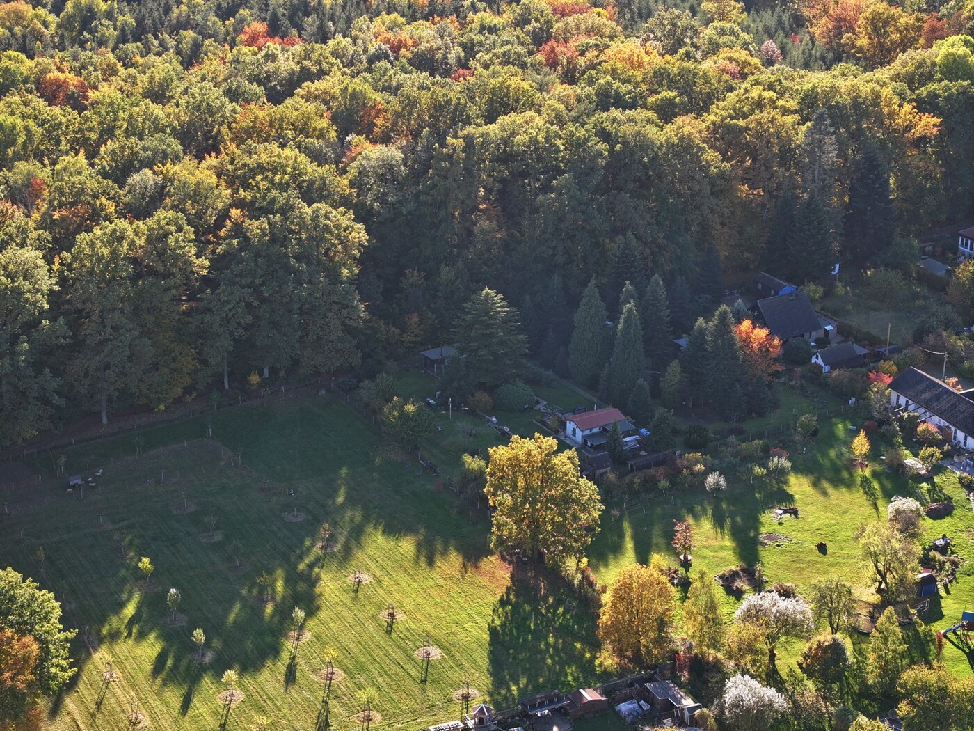 direkte Angrenzung zum Tharandter Wald
