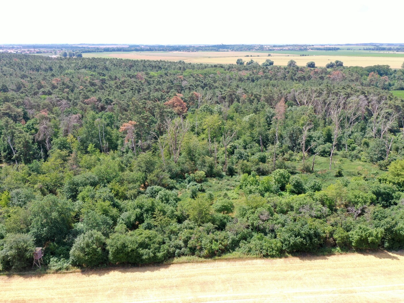 Luftaufnahme - Blick Richtung Süden
