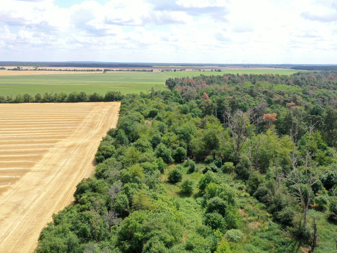 Luftaufnahme - Blick Richtung Osten