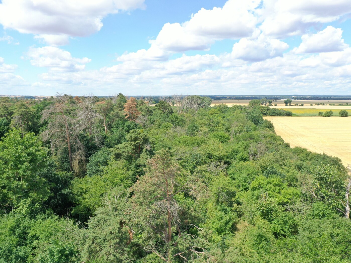 Luftaufnahme - Blick Richtung Westen