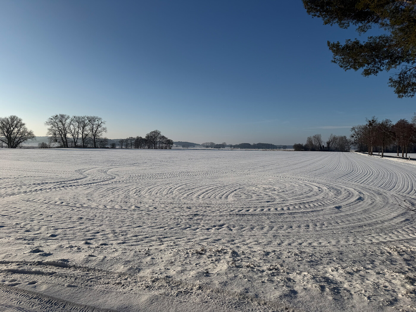 Blick über den Acker