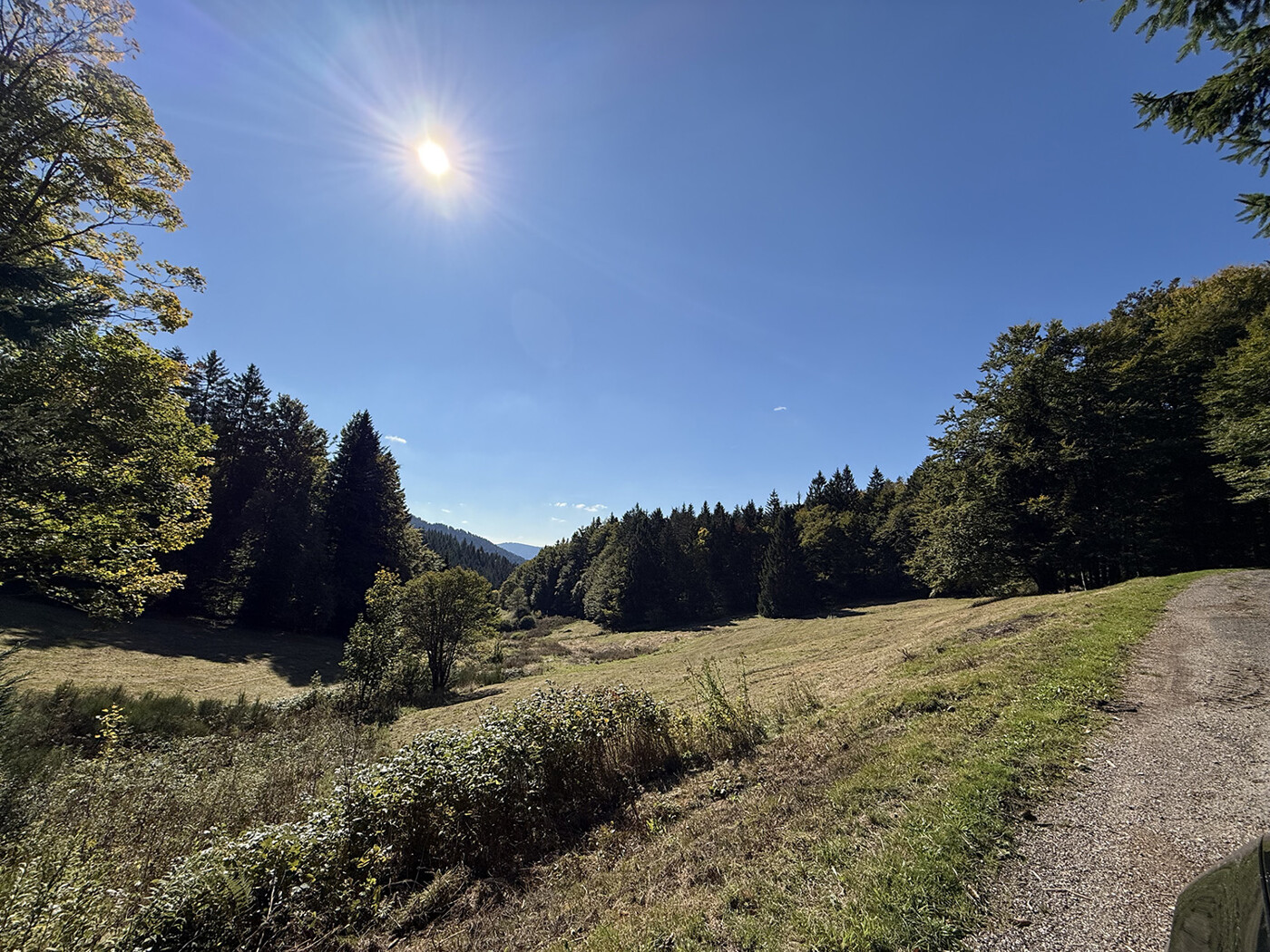 Blick vom Wirtschaftsweg