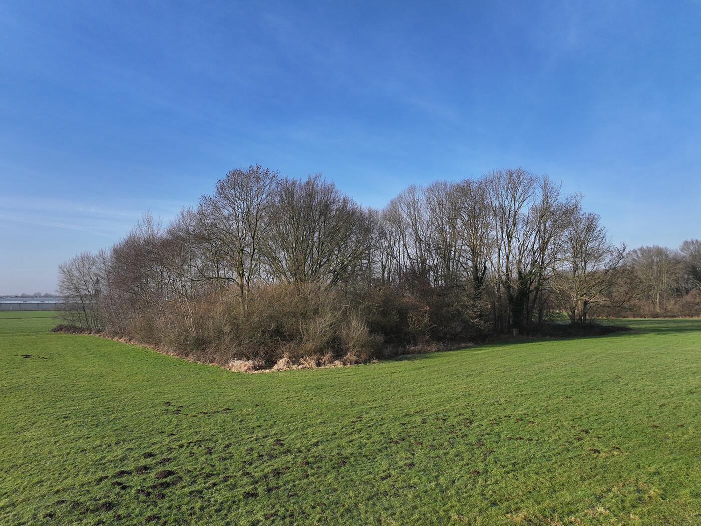 Blick auf den Waldbestand