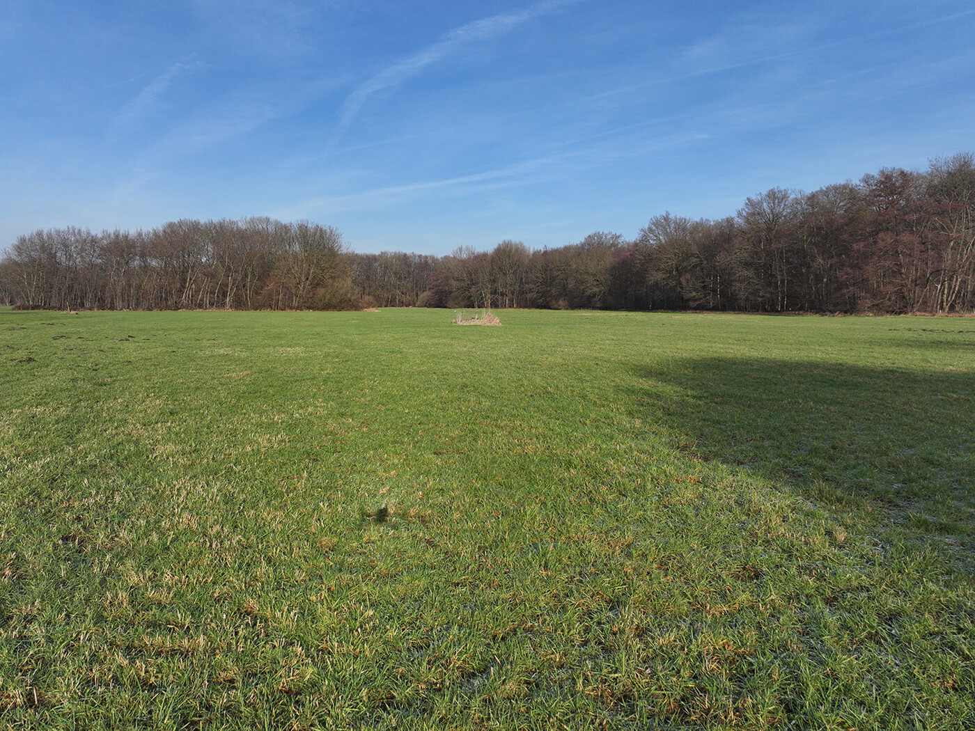 Blick über das Grünland