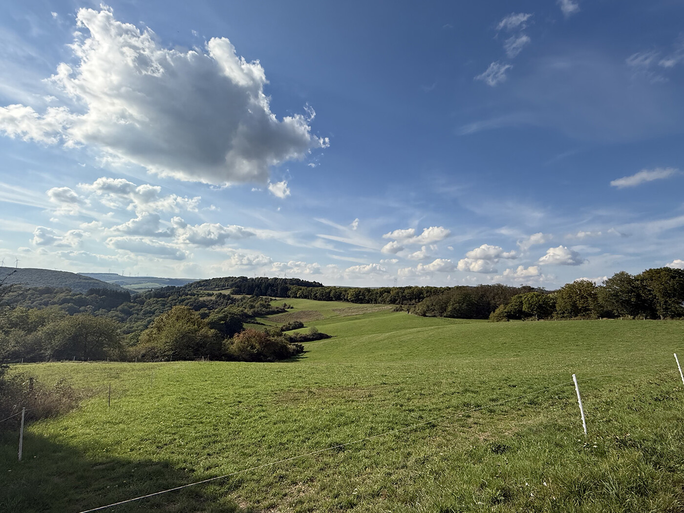 Blick auf das Grünland
