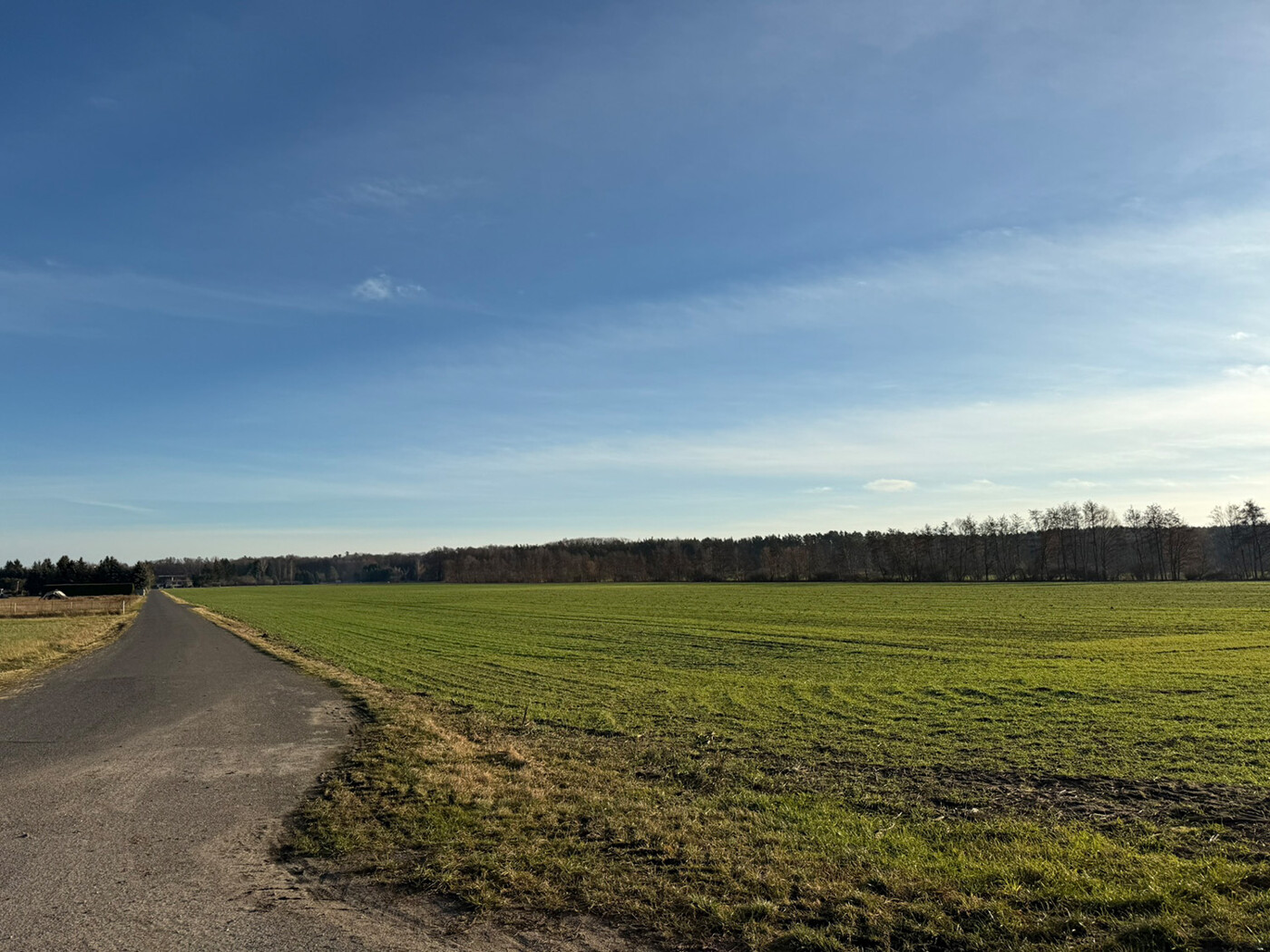 Blick über den Acker + Zuwegung
