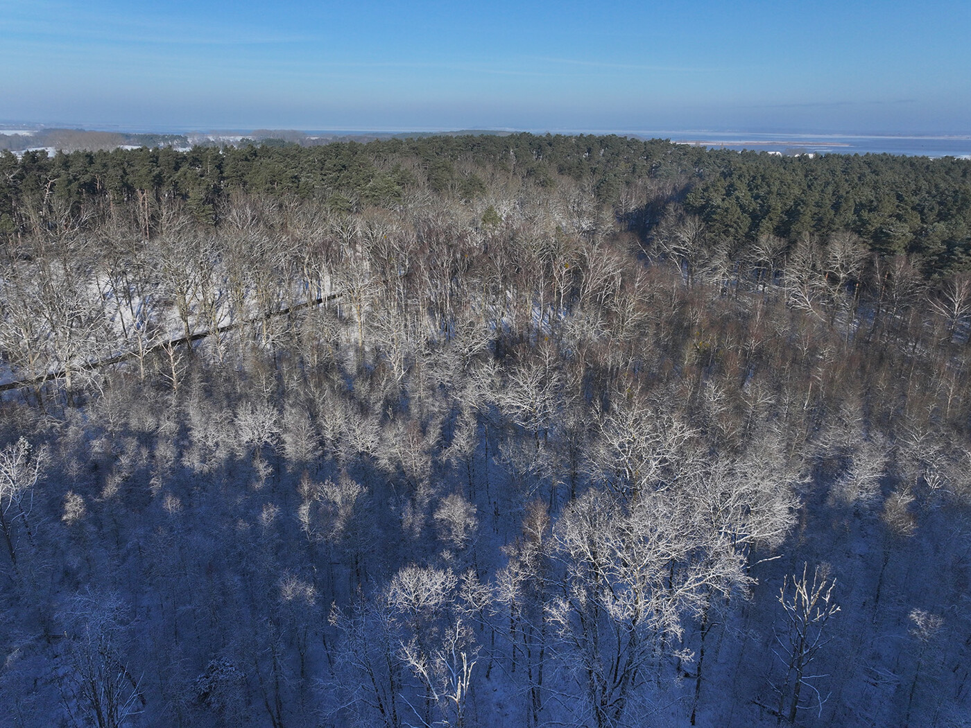 Blick Richtung Ostsee